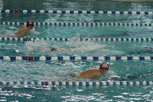 九游官网首页-中国游泳运动员世锦赛接力项目表现抢眼，中国游泳接力夺金