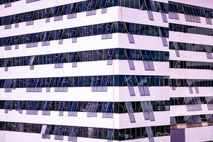 九游平台官网-体育新闻中心建设体育数字内容版权保护体系，体育数据新闻